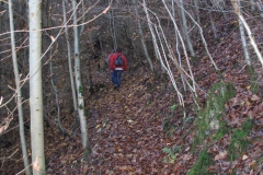 hoellental_31_20101118_1294725324