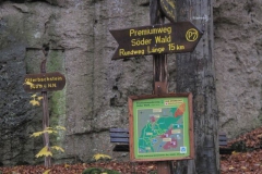 soeder_wald_01_20101110_1968215019