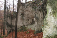 soeder_wald_11_20101110_1507407140