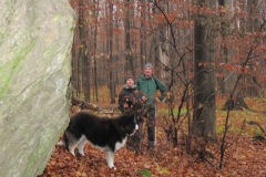 soeder_wald_12_20101110_1247593636