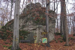 soeder_wald_14_20101110_1120570833
