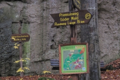 soeder_wald_15_20101110_1220865450