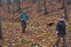 soeder_wald_16_20101110_1621434722