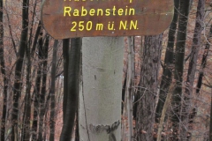 soeder_wald_21_20101110_1200440426