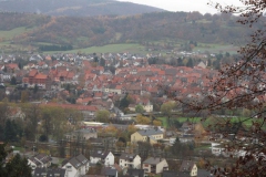 soeder_wald_22_20101110_1315709924