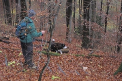 soeder_wald_23_20101110_1016340571