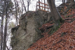 soeder_wald_24_20101110_1172953797