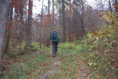 soeder_wald_2_20101110_1653301180