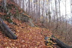 soeder_wald_30_20101110_1684205960