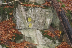 soeder_wald_31_20101110_1346511446
