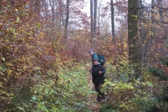 soeder_wald_5_20101110_1745603412