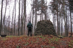 soeder_wald_6_20101110_1107602690