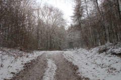 eichsfeld_3_20101203_1943902861