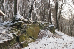 eichsfeld_6_20101203_1474027048