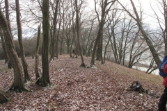 riesenstein_01_20101203_1248323409