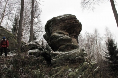riesenstein_16_20101203_1384965758