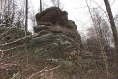 riesenstein_18_20101203_1679944602