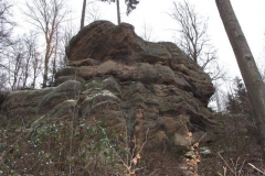 riesenstein_20_20101203_1302607347