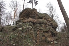 riesenstein_21_20101203_1308324689