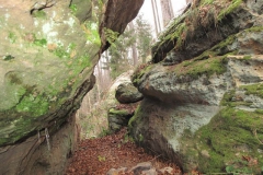 riesenstein_23_20101203_1938704569