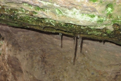 riesenstein_24_20101203_1035005421