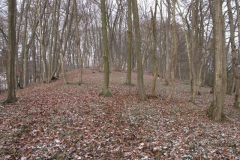 riesenstein_2_20101203_1947321976