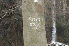 riesenstein_9_20101203_1614681356