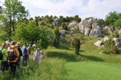 hie-und_kripploecher_2_20130617_1727509628