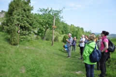 hie-und_kripploecher_3_20130617_1660044779