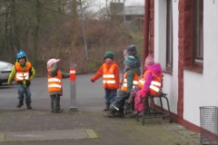 hummelnest_16_20140209_1425339180