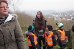 hummelnest_17_20140209_1839868273