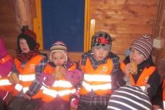 hummelnest_3_20140209_1381622143