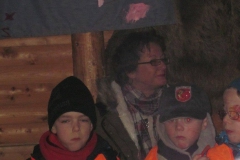 hummelnest_5_20140209_1221938959