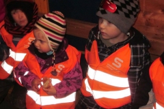 hummelnest_7_20140209_1222151314
