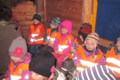 hummelnest_8_20140209_1621233687