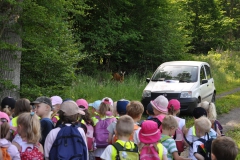 wald_01_20140617_1757693878