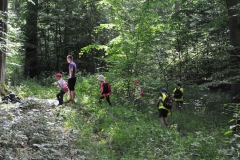 wald_2_20140617_1293608144