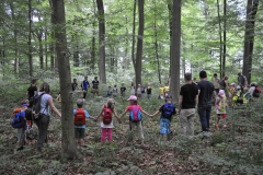 wald_4_20140617_1585452569