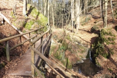 habichtswald_10_20140313_1130659447