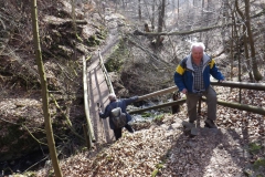 habichtswald_11_20140313_2050467276