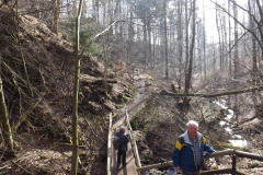 habichtswald_12_20140313_1717835320