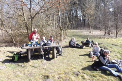 habichtswald_5_20140313_1297423569