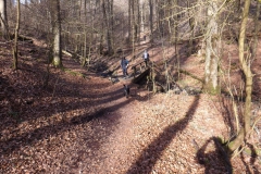 habichtswald_6_20140313_1287305145