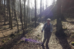 habichtswald_7_20140313_1428854615