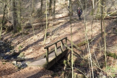 habichtswald_8_20140313_1583918782