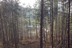 wanderung_aud_dem_doernberg_3_20150401_2019608291