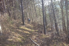 wanderung_aud_dem_doernberg_5_20150401_1387399066