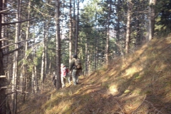 wanderung_aud_dem_doernberg_6_20150401_1708369092