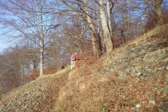 wanderung_aud_dem_doernberg_9_20150401_1611707478