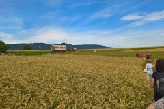 mohnbluetenwanderung_18_20160801_1526788401